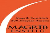 Magrib Enstitü Anayasa Görüşleri