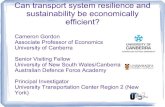 Transport System Resilience in a Climate Change World