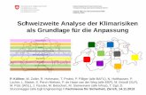 Schweizweite Analyse der Klimarisiken als Grundlage für die Anpassung