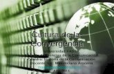 Cultura de la convergencia  - Lic. Maximiliano Aracena (2011)