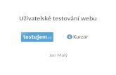 Testujem.cz - uživatelské testování stránek