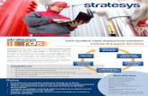Stratesys RDS SAP CRM Technical Support Services - ESP2014