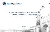 КазМунайГаз: Развитие казахстанского содержания