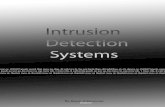 IDS - Intrusion Detection Systems (MK)