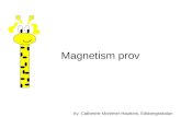 Magnetism provgenomgång