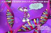Bài giảng về DNA và RNA
