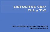 Linfocitos Th1 Y Th2