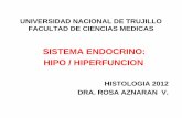 Sistema endocrino hipo-hiperfunción