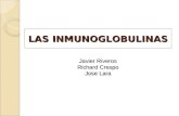 Bioquimica basica inmunoglobulinas
