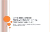 Site directed mutagenesis of β2-microglobulin PowerPoint Presentation