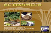 CA: Una Guia Bay-Friendly Landscaping Sobre El Mantillo