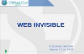 WEB INVISIBLE