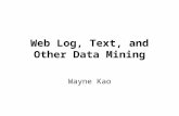 Web Log, Text, and Other Data Mining