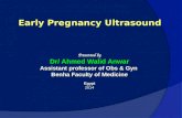 Early pregnancy ultrasonographic evaluation
