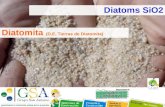GSA Proyecto Diatomita SiO2