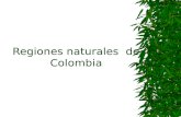 Regiones naturales  de colombia (sociales)11 4