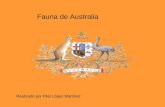 Fauna australiana