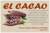 El Cacao: Historia, Productos, Composición