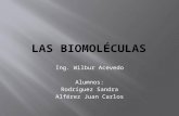 Las biomoléculas