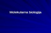 Molekularna biologija pms 2014