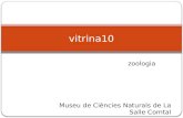 Vitrina10 Zoologia