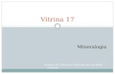 Vitrina17 mineralogia