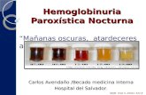 Hemoglobinuria paroxistica nocturna