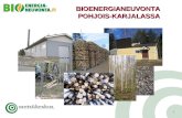 Pohjois-Karjalan biotalousfoorumi, Anssi Niskanen