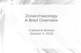 Sanisera Fieldschool 2010, session 4: ZooarchaeologyA Brief Overview, by Catherine Bohner