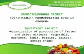 ИНВЕСТИЦИОННЫЙ ПРОЕКТ«Организация производства сушеных овощей»