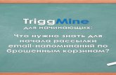 TriggMine: Рекомендации для начинающих