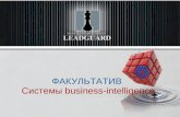 Leadguard. Факультатив. Системы business-intelligence