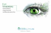 Доклад для конференции Маркетинг Недвижимости 2012 Eye tracking на примере сайтов недвижимости