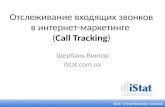 Вебинар WebPromoExperts - Виктор Щербань "Отслеживание звонков"