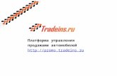 Презентация Tradeins.ru (10.10.2013) Full version