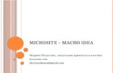 Microsite – Macro Idea