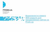 Возможности нового SEO-модуля для продвижения сайтов на Prom.ua, 18.06