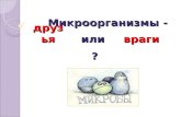 Mikroorganizmy  -druzya_ili_vragi_dlya_noutbuka