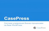 CasePress, WordCamp Russia 2013