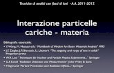Chiari: Lezione su interazione ioni-materia (2012)