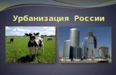 Урбанизация россии
