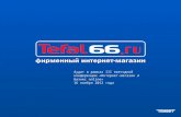 Аудит интернет-магазина Tefal66.ru