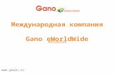 Презентация Gano Excel e-Worldwide в России