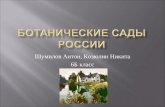 Ботанические сады России