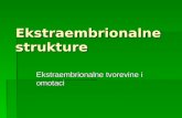 Ekstraembrionalne strukture