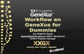 0011 workflow for_dummies