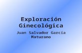 Exploración ginecológica