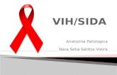 Sida   HIV