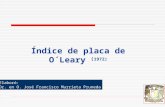 2b  Indice  O´ Leary