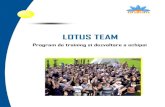 Brumm Consult - Lotus Team Development